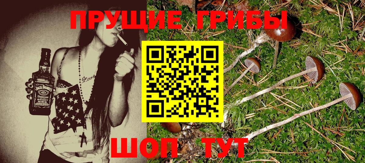Фурманов  Псилоцибиновые грибы Cubensis  продажа наркотиков  Вход с VPN 