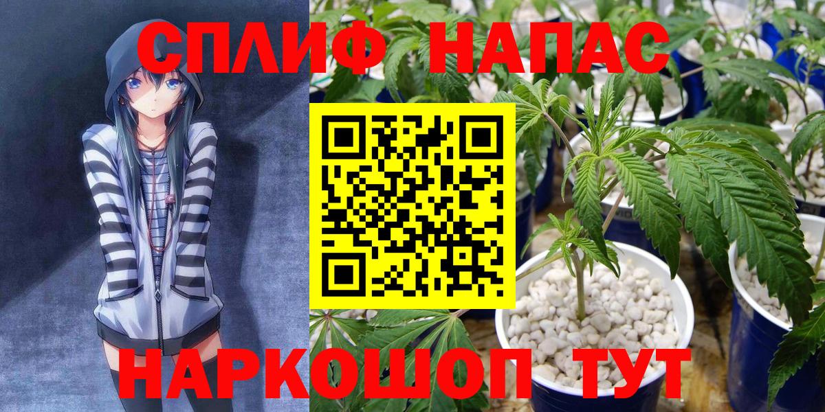 Бошки Шишки White Widow  Вход с VPN  Конопля MAZAR  Бошки Шишки планчик  Бошки марихуана THC 21%  Фурманов 